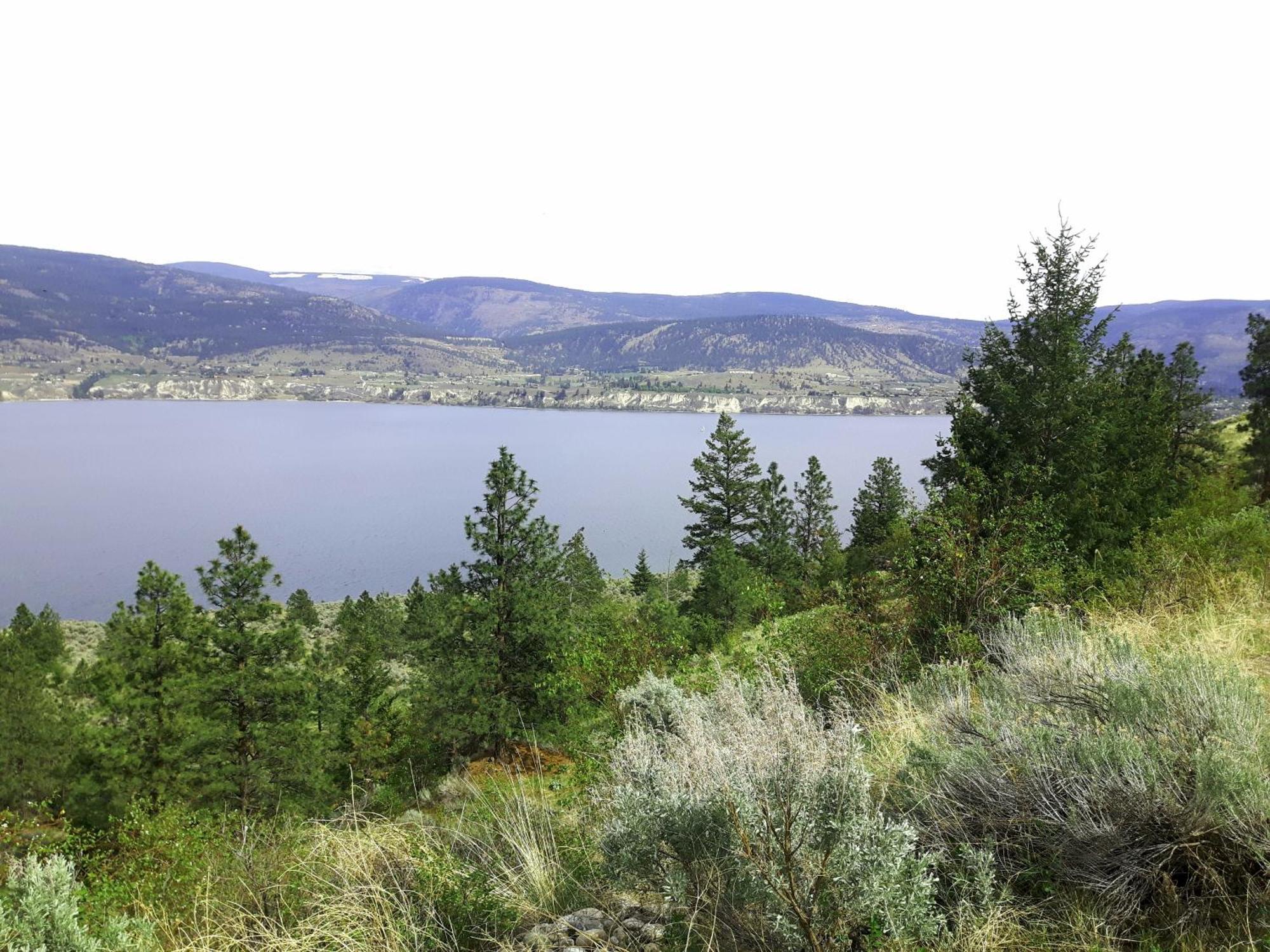 Appartement Comfy King Bed, Large Private Basement Suite, Smart Tv In Penticton- Of Peaches And Beaches *