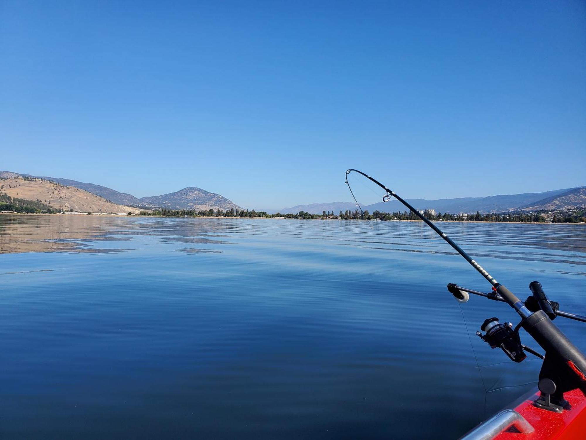 Comfy King Bed, Large Private Basement Suite, Smart Tv In Penticton- Of Peaches And Beaches Penticton