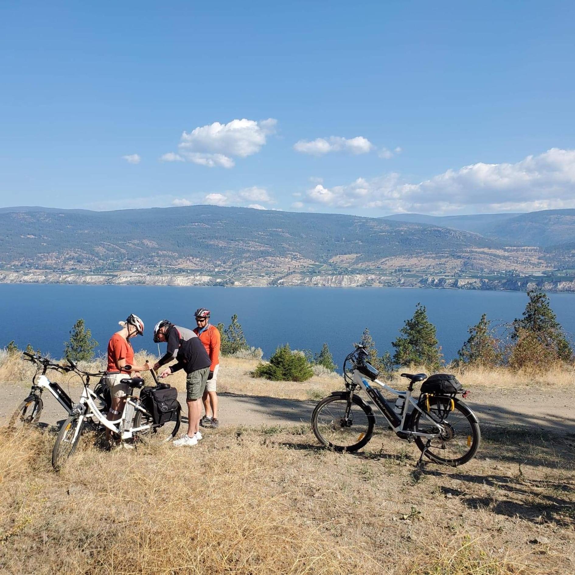 Comfy King Bed, Large Private Basement Suite, Smart Tv In Penticton- Of Peaches And Beaches